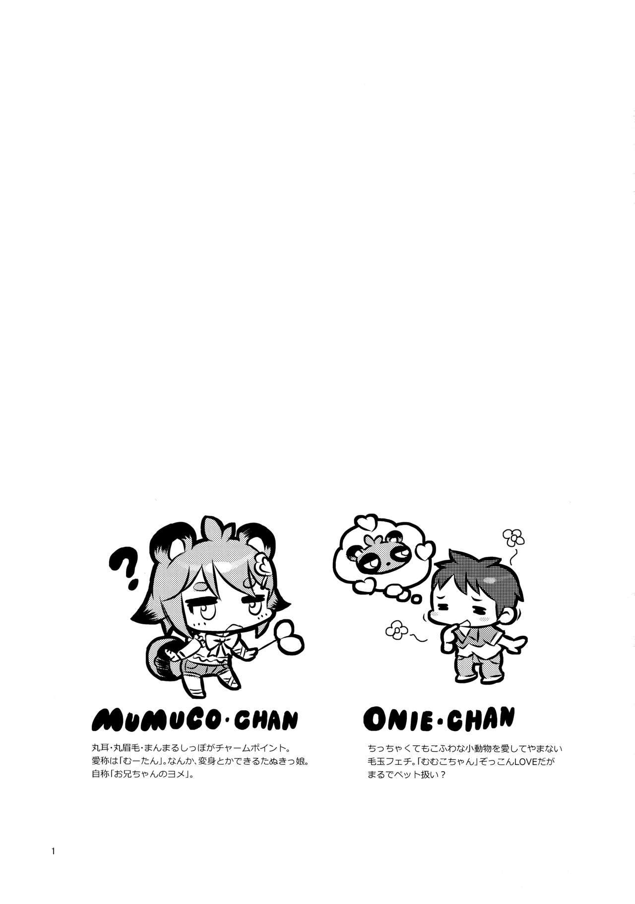 MIMIPULL Roku page 2 full