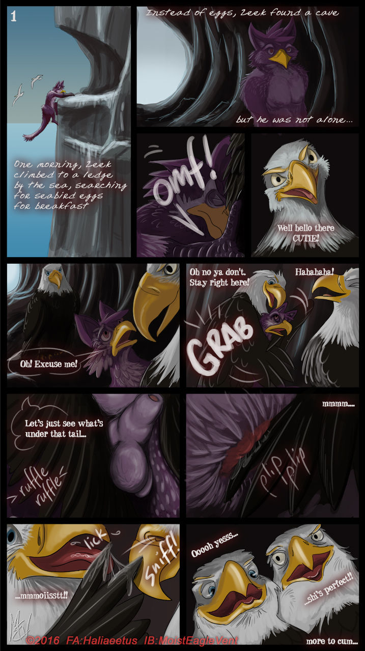 Zeek Finds An Eagle Eyrie page 1 full