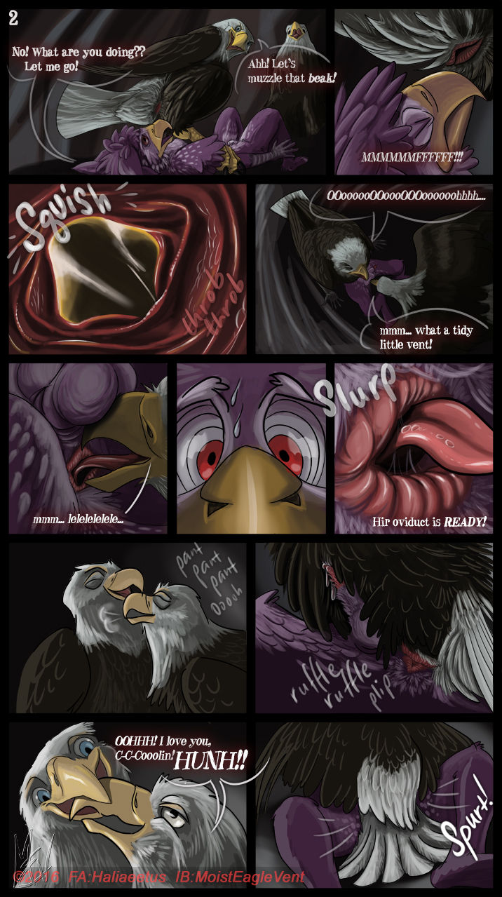 Zeek Finds An Eagle Eyrie page 2 full