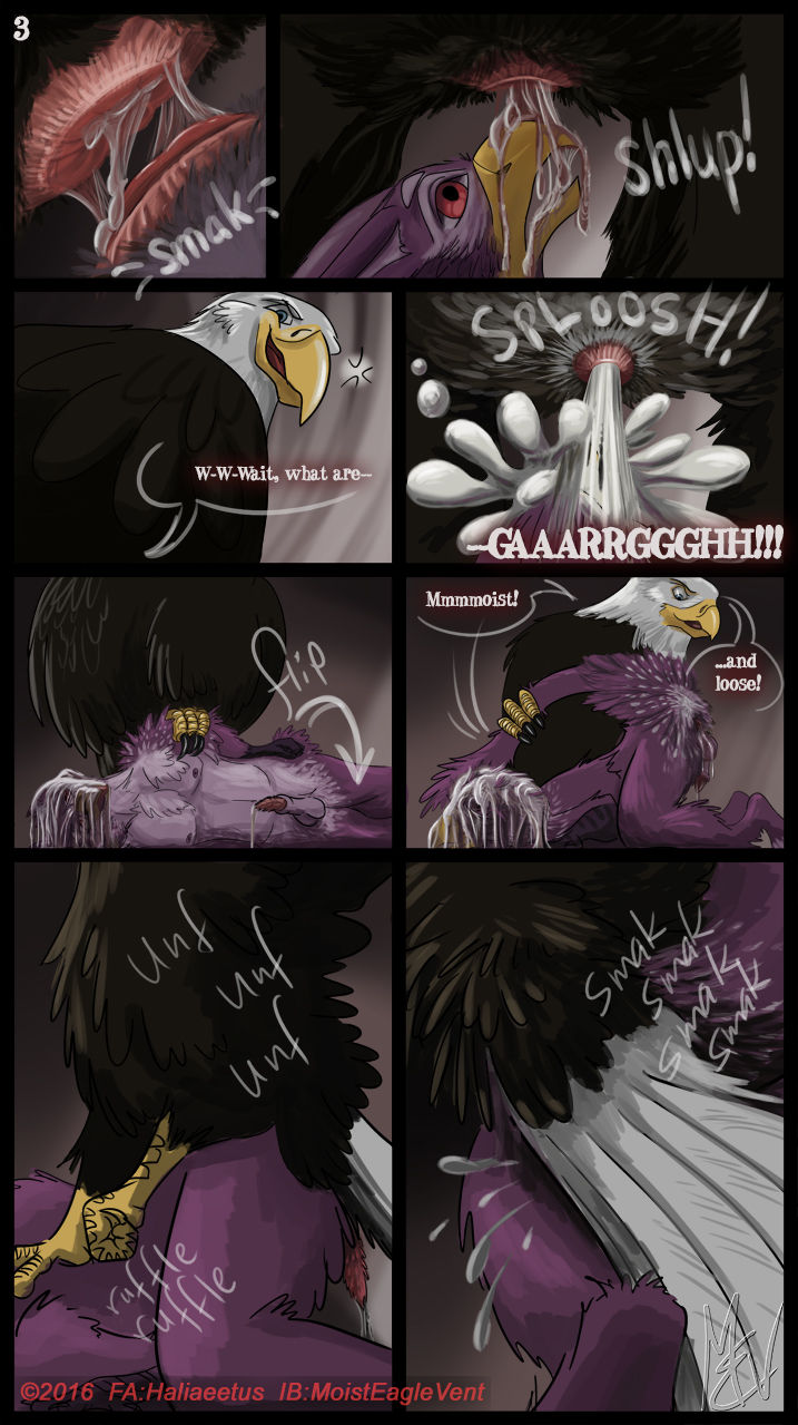Zeek Finds An Eagle Eyrie page 3 full