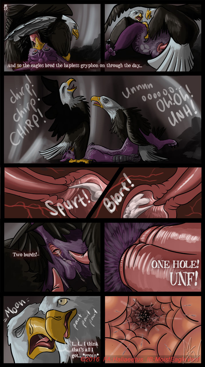 Zeek Finds An Eagle Eyrie page 5 full