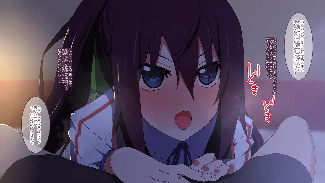 Infinite Stratos HCG Shuu page 3 full
