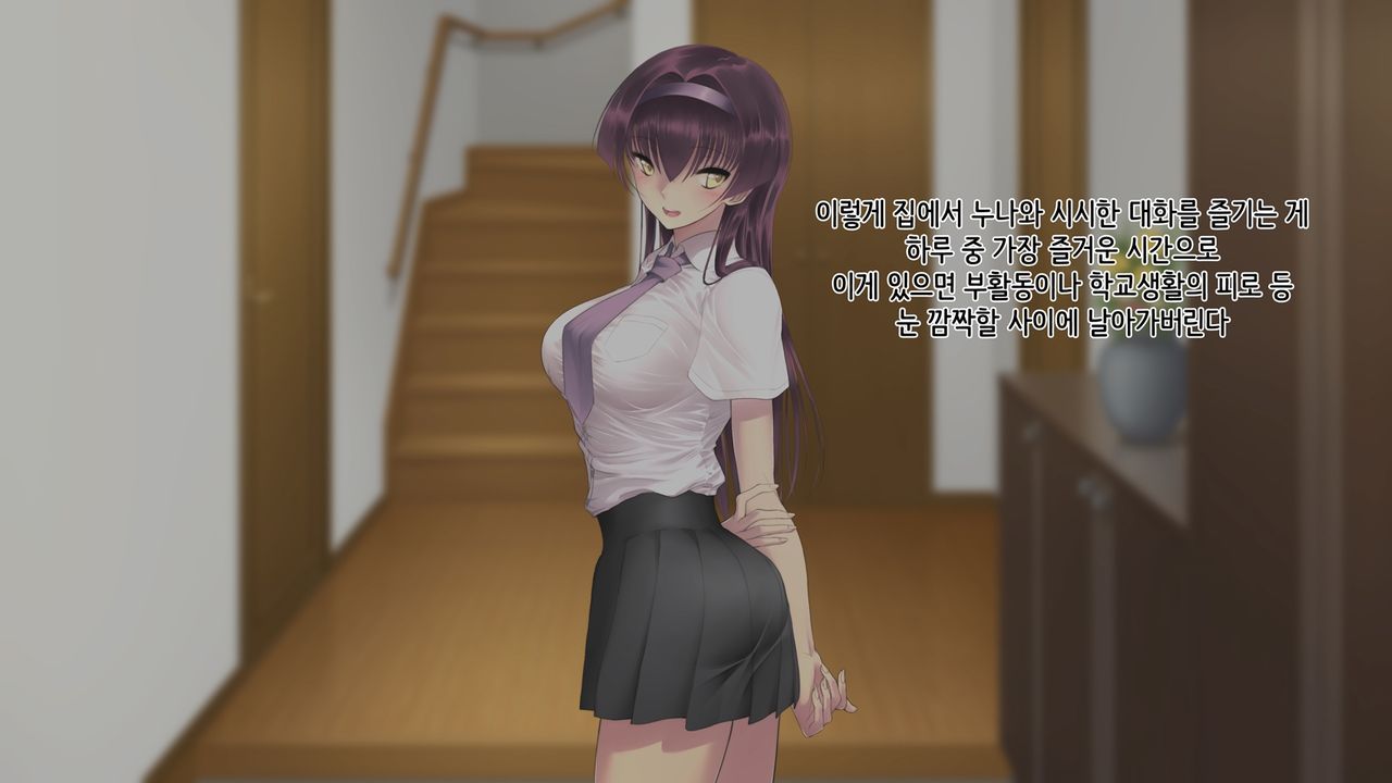 Ane Ochi -Ane ga Chichi ni Ochiru made- page 8 full
