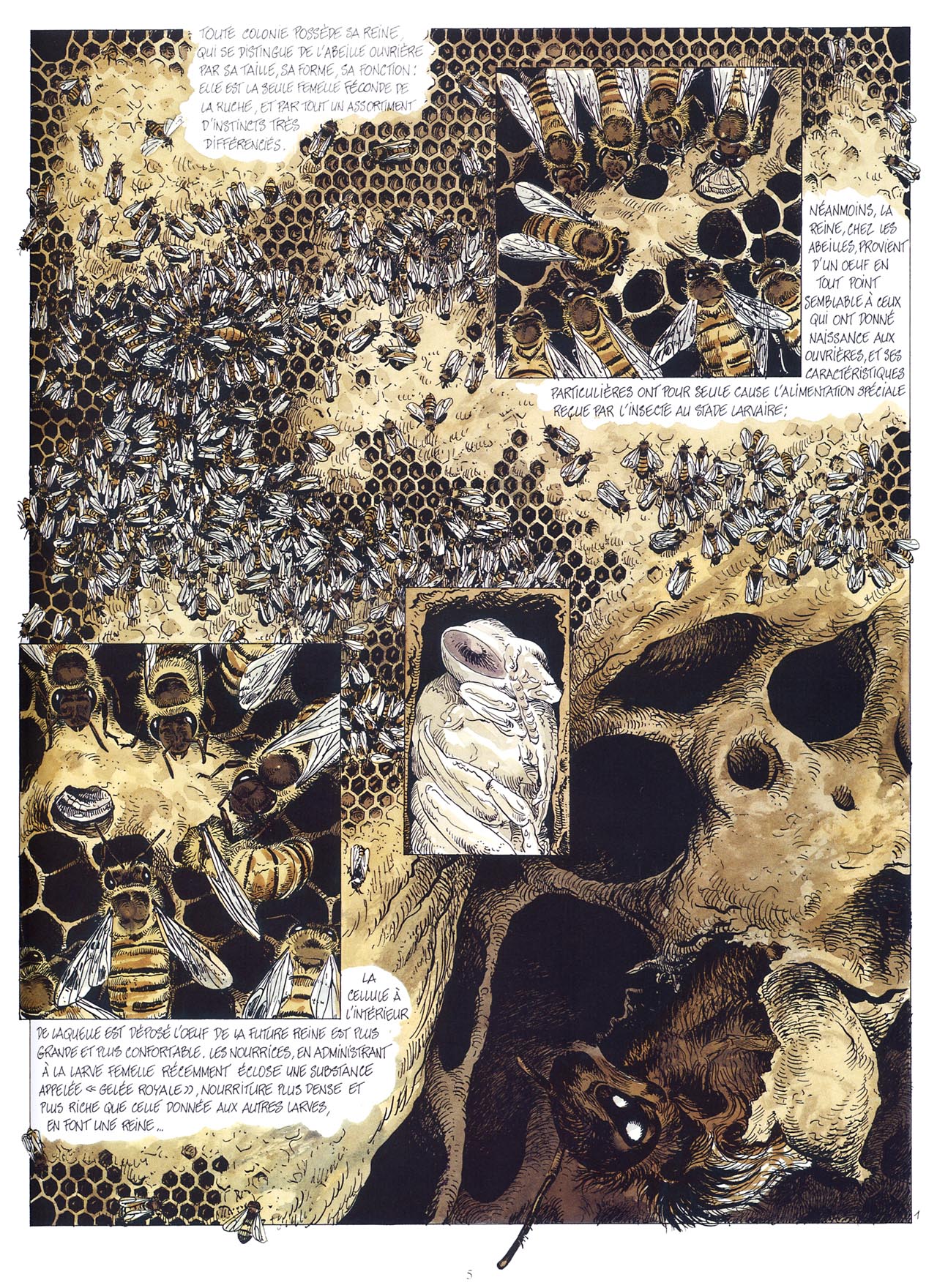 La Petite Reine page 6 full