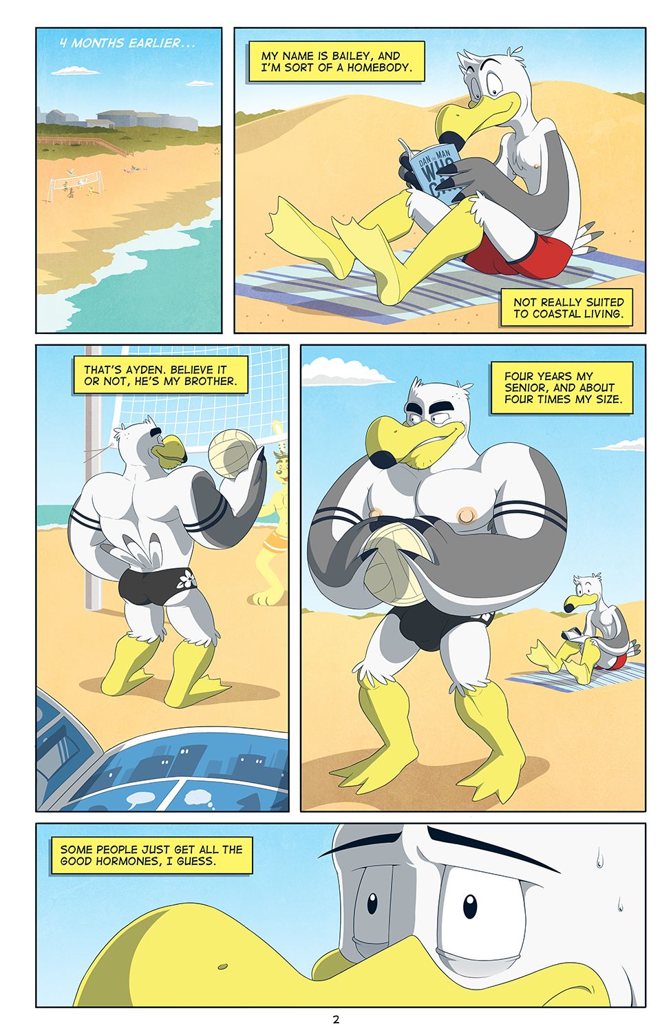 Brogulls page 3 full
