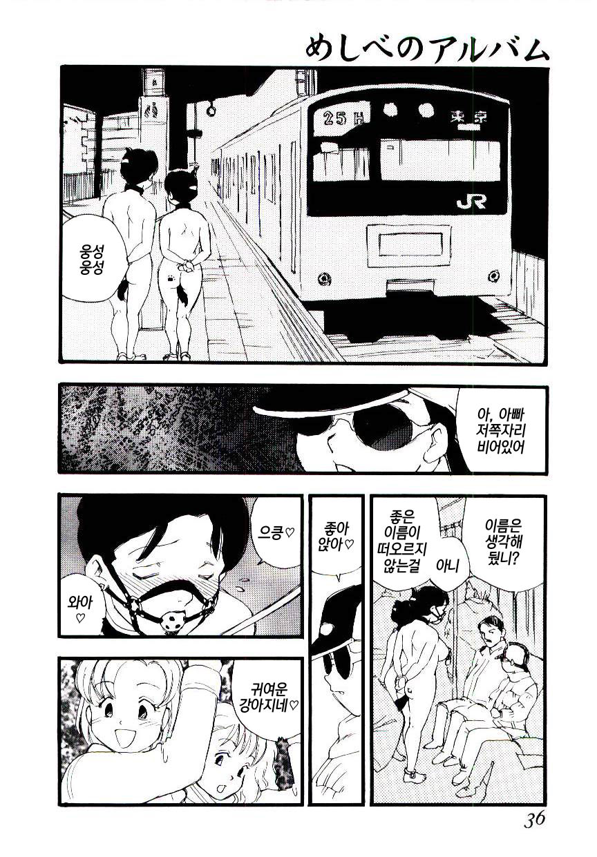 Meshibe no Album | 암꽃술 앨범 page 8 full