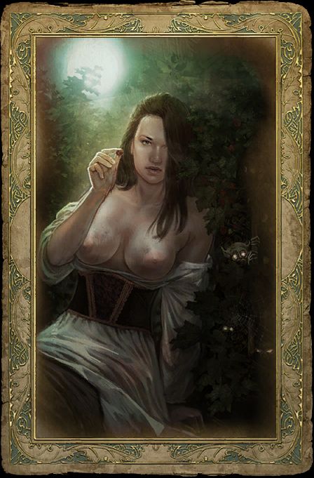 The Witcher 1 Romance Cards - Censored, Uncensored, Artbook page 7 full
