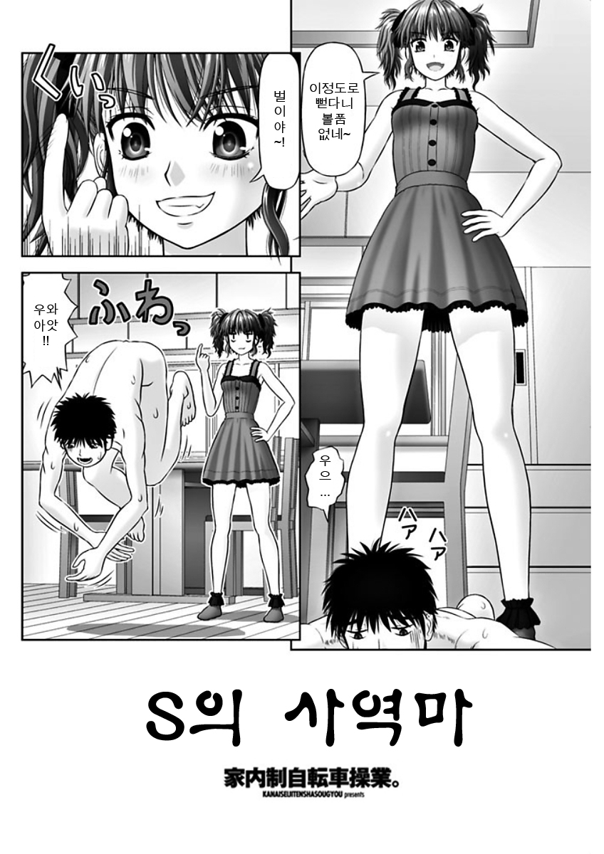 S no Tsukaima | S의 사역마 page 2 full