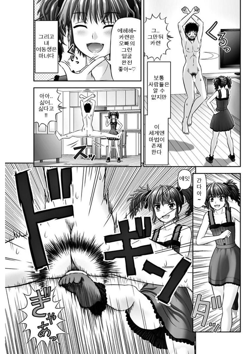 S no Tsukaima | S의 사역마 page 3 full