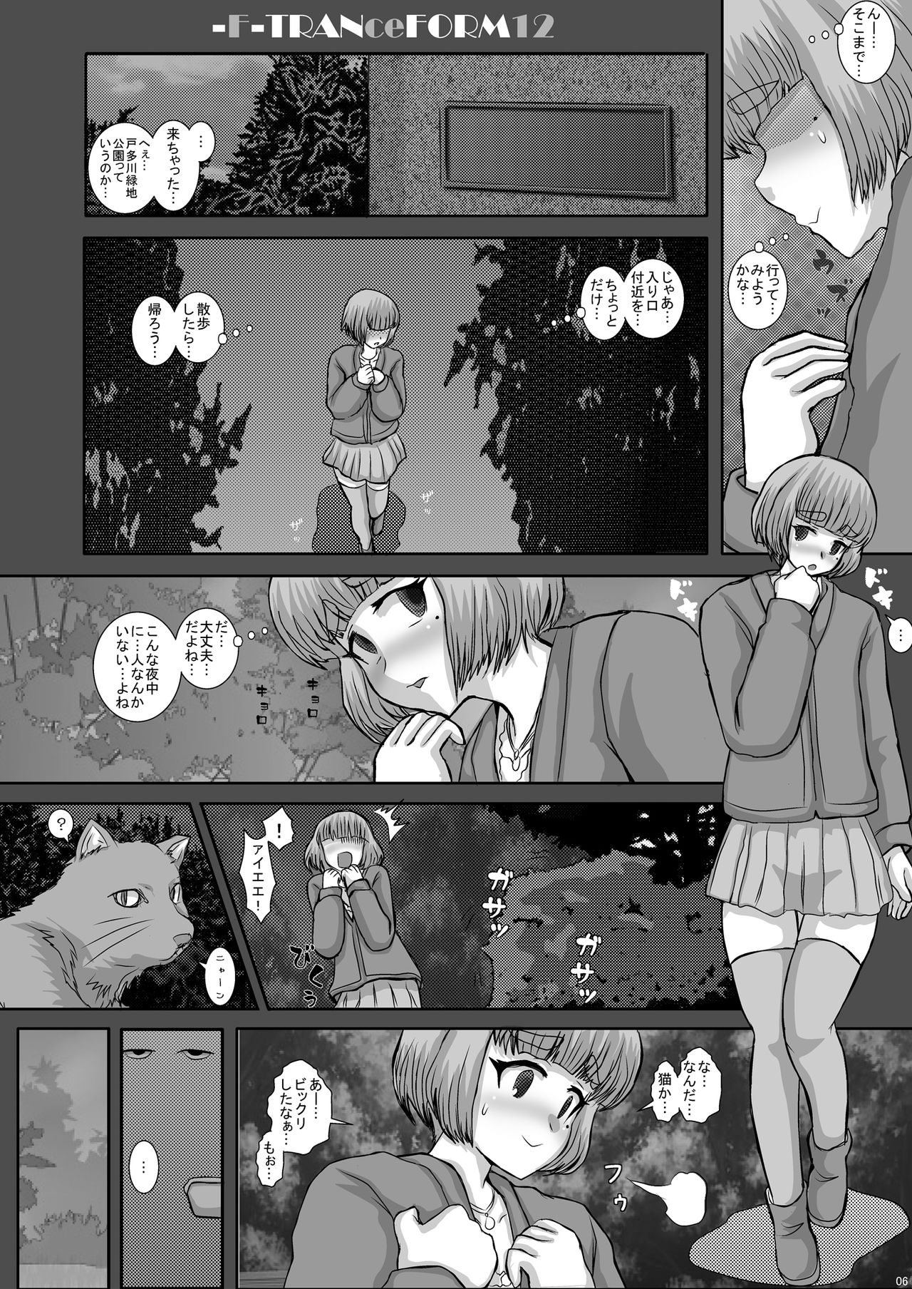 -F-TRANceFORM12 page 6 full