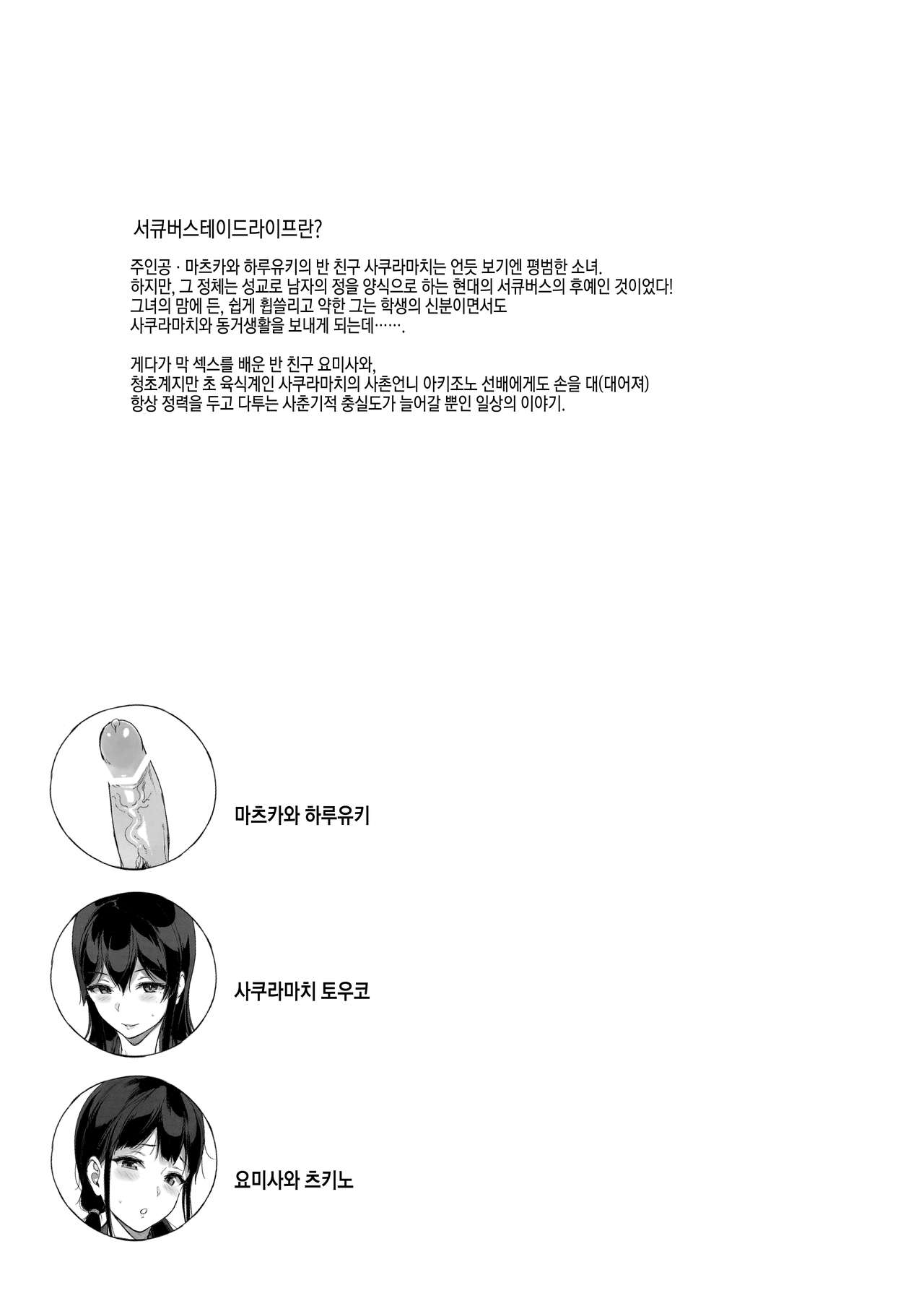 TTH Succubus Stayed Life Sakuramachi-san no Onedari Ecchi Hen | TTH 서큐버스테이드라이프 사쿠라마치의 조르기 섹스편 page 3 full